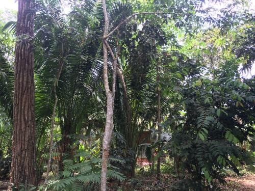 Anaconda Lodge