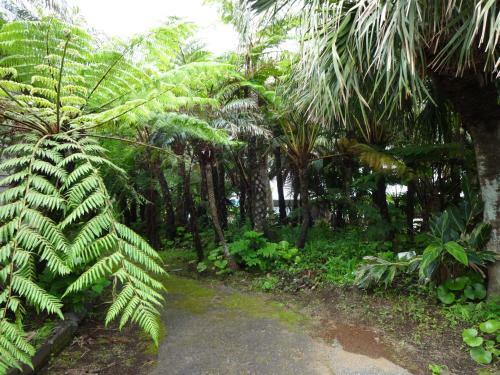 Posada Gardenso