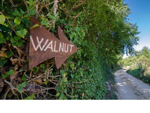 Walnut House