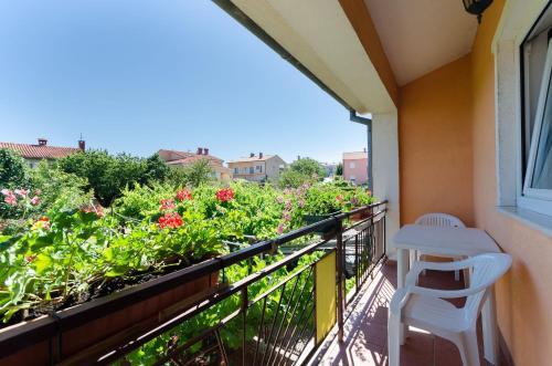 Apartments Sajma