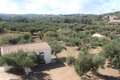 Apartamento Theofilos Appartements