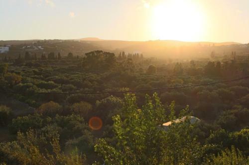 Apartamento Theofilos Appartements