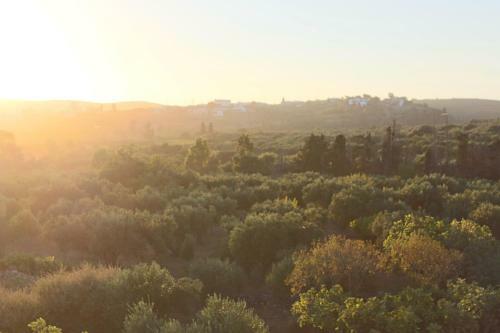 Apartamento Theofilos Appartements