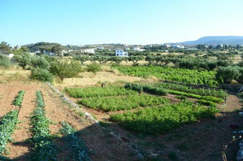 Apartamento Theofilos Appartements