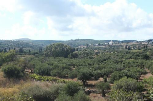 Apartamento Theofilos Appartements