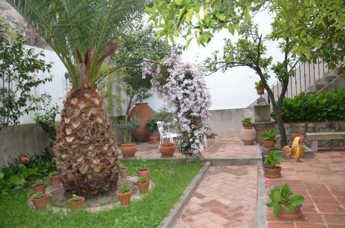 Hostal Casa Rural Antolina