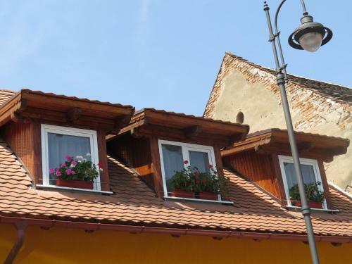 Hostal Pensiunea Todor