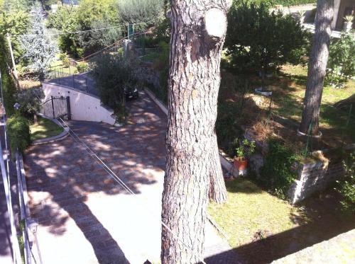 Bed & Breakfast Villa Prince