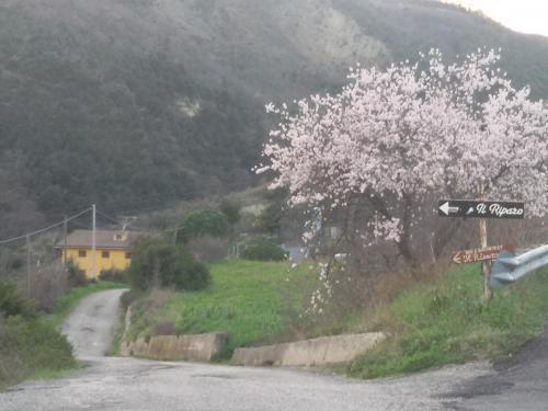 Bed & Breakfast Il Riparo