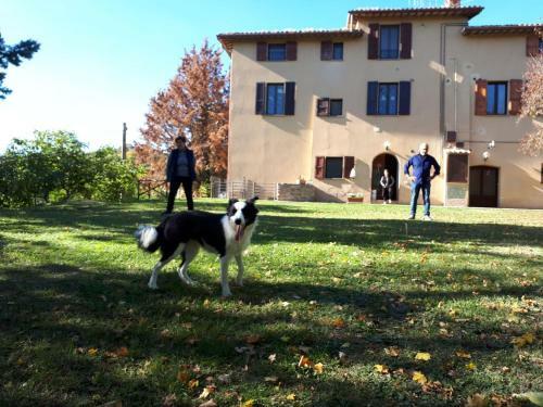 Apartamento Agriturismo Villa Mozart