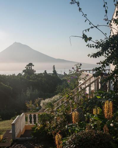 Bed & Breakfast Vila Belgica