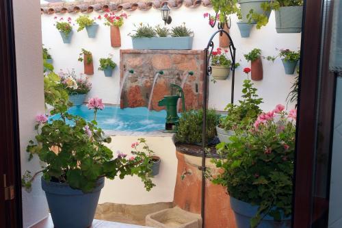 Agroturismo Casa Del Abuelo Mart�n