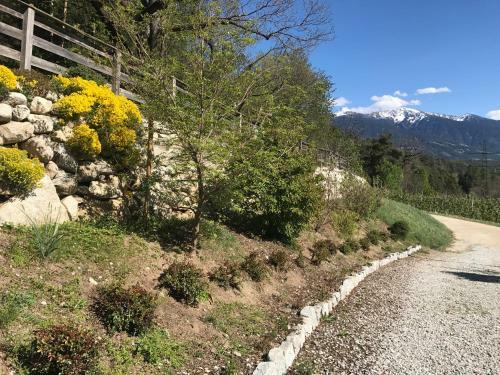 Apartamento Gasserhof Aicha