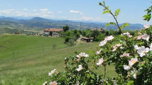 Agroturismo La Palazzina Di Ciagnano
