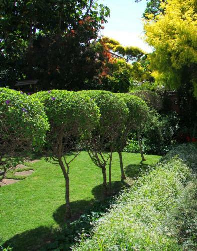 Oakhampton Bed And Breakfast