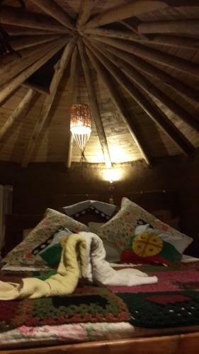 Caba�as Y Rukas Licant�n