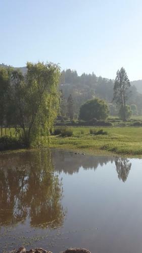 Caba�as Y Rukas Licant�n