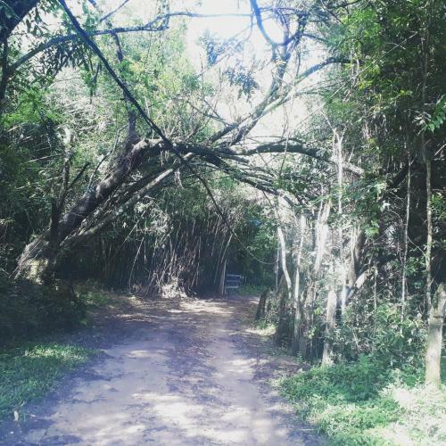 Sitio D. Tereza