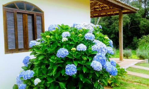 Sitio D. Tereza
