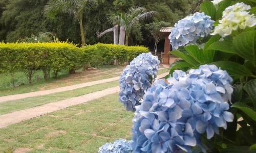Sitio D. Tereza