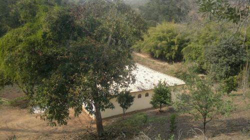 Sitio D. Tereza