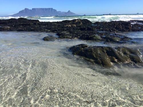 Apartamento 407@blouberg - Infinity