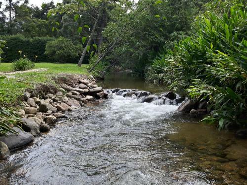 Vale Do Alcantilado