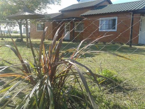 Lodge Bungalows Arandano