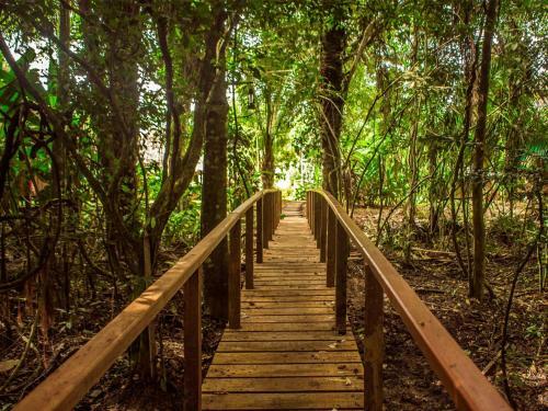 Lodge Corto Maltes Amazonia