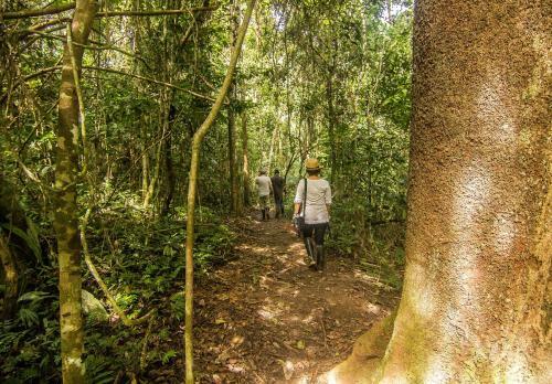 Lodge Corto Maltes Amazonia