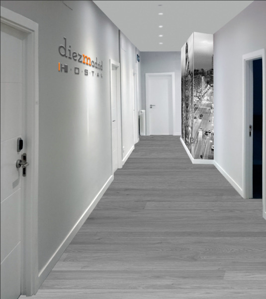Hostal Diezmadrid