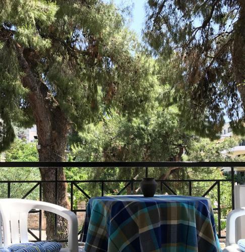 Aparthotel Calypso Beach Hotel