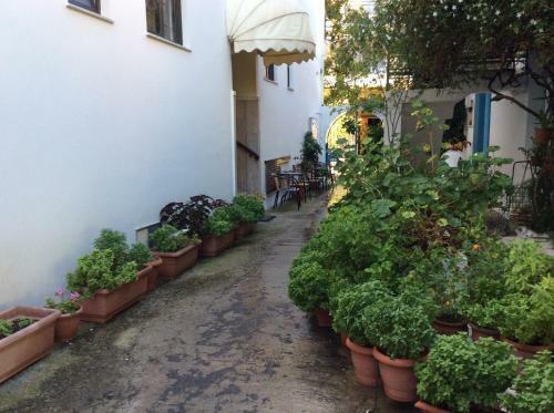 Apartamento Katerina