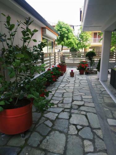 Dimitra's Apartments