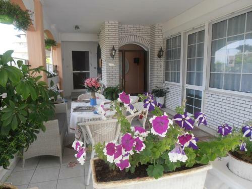 Apartments Palladium