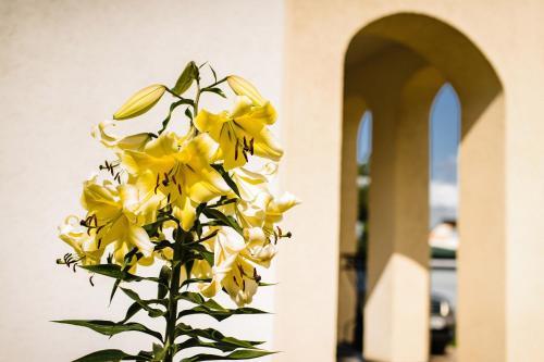 Cottage Prestige In City Centre & Dom4