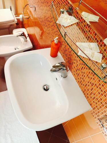 B&B Zahir