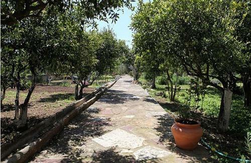 Hostal Agiazi