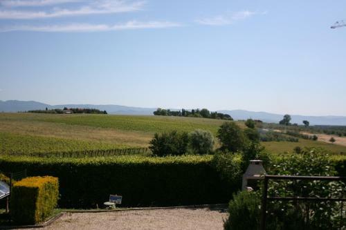 Villa Il Cedro