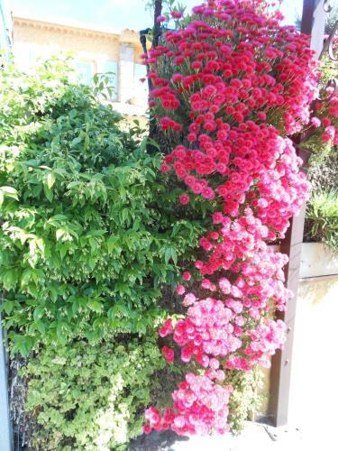 Hotel H�tel Les Calanques
