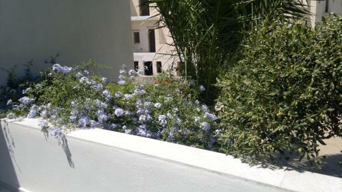 Apartamento Castello Azzurro