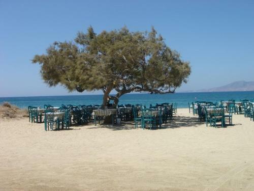 Apartamento Villa Harmony