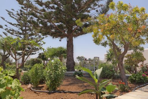 Apartamento Maroussa Studios