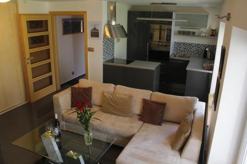 Apartment Dejvice