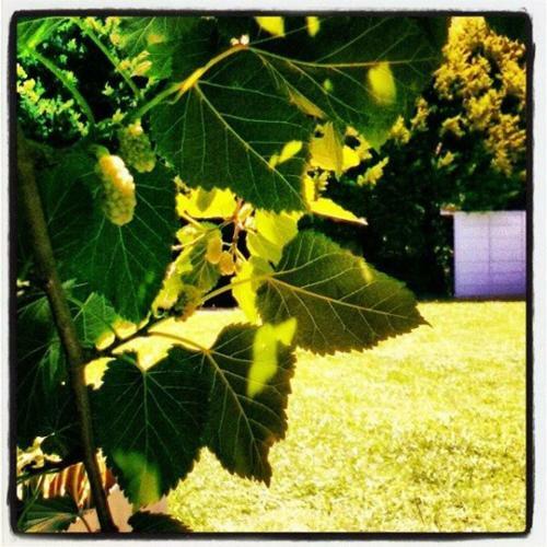Posada Las Moras Multiespacio