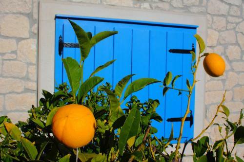 Holiday Home Olea