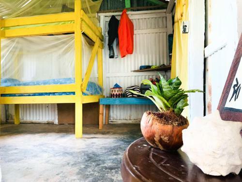 Macao Beach Hostel