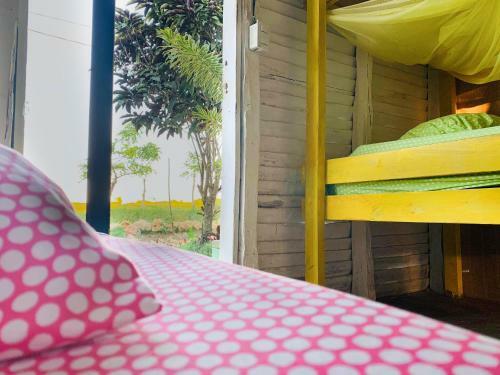 Macao Beach Hostel