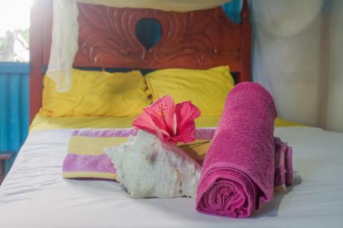 Macao Beach Hostel
