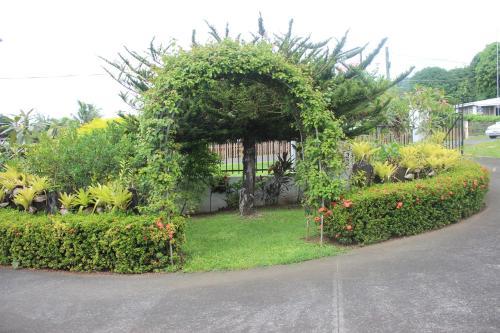 Hostal Anivas Place